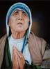 Potrait Painting